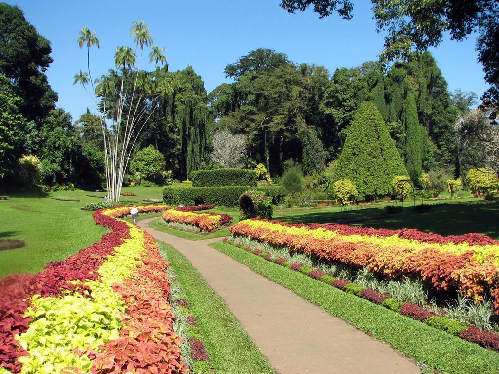 Kandy View Villa Buitenkant foto